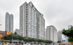 该公司成立于2015年