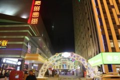 更有文化公园、龙凤新河景不雅带、市政